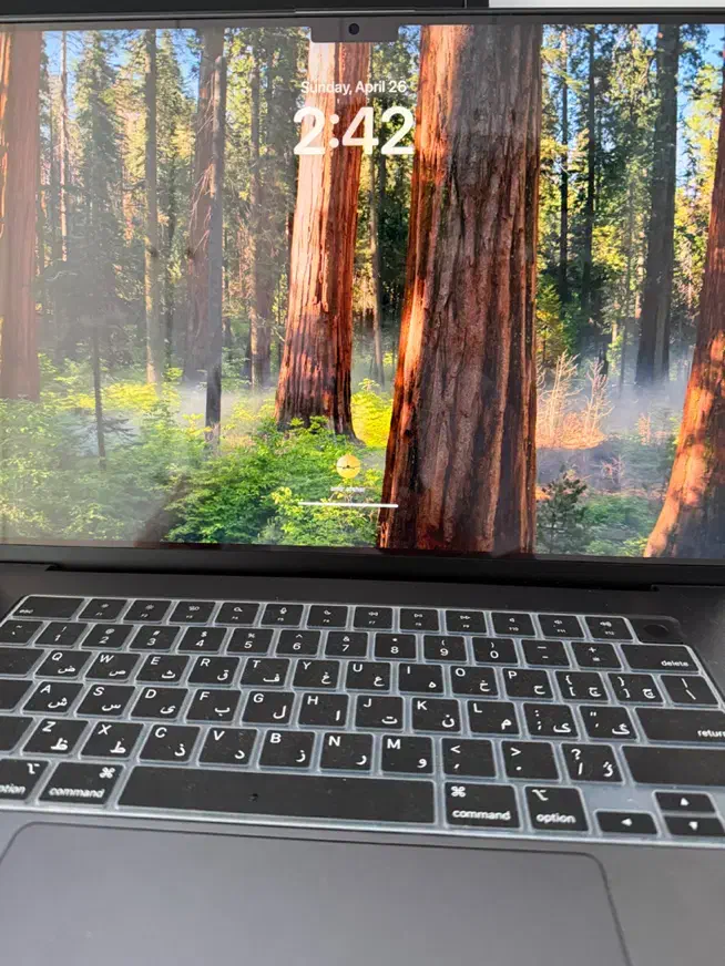 MacBook M4 pro 16inch|رایانه همراه|تهران, درختی|دیوار