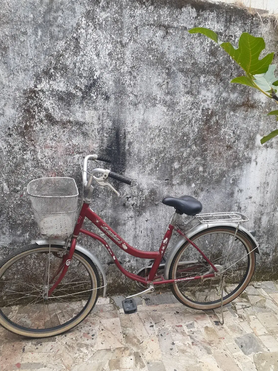 دوچرخه قناری|دوچرخه، اسکیت، اسکوتر|بندر انزلی, کوی واحدی|دیوار