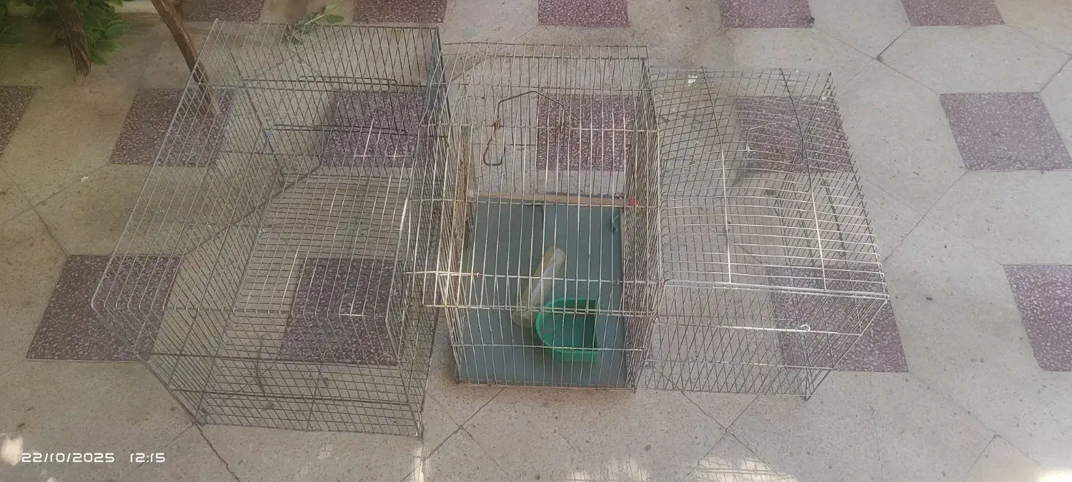 قفس پرنده|لوازم جانبی حیوانات|شیراز, شیشه‌گری|دیوار