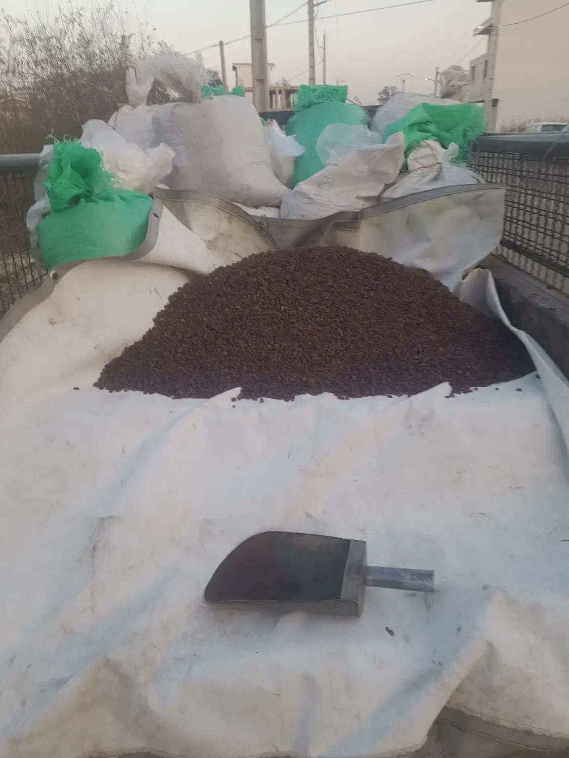 کشمش بیدانه افتابی پلوی|خوردنی و آشامیدنی|رودسر, |دیوار