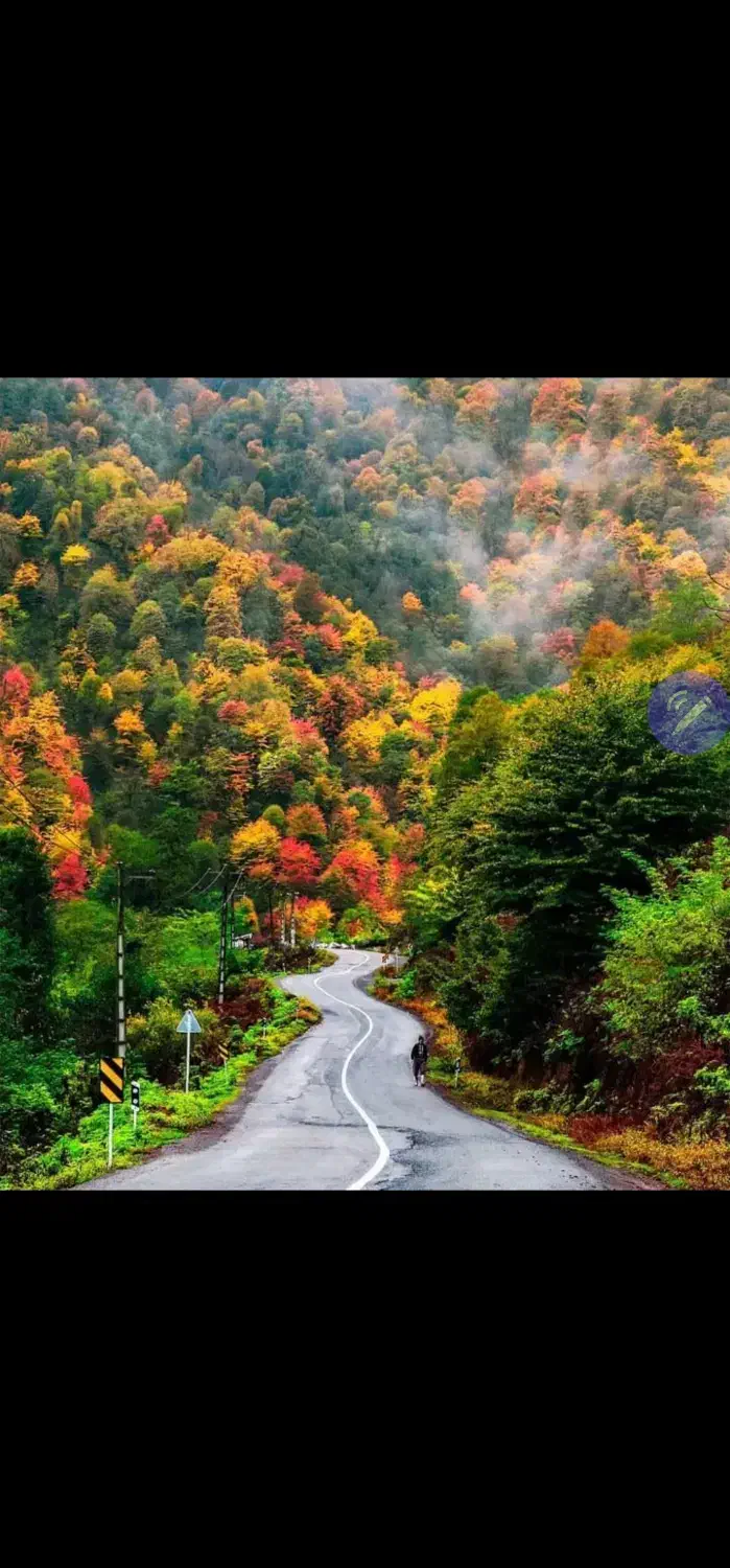 تور شمال کشور  قیمت مناسب|تور و چارتر|بوکان, |دیوار