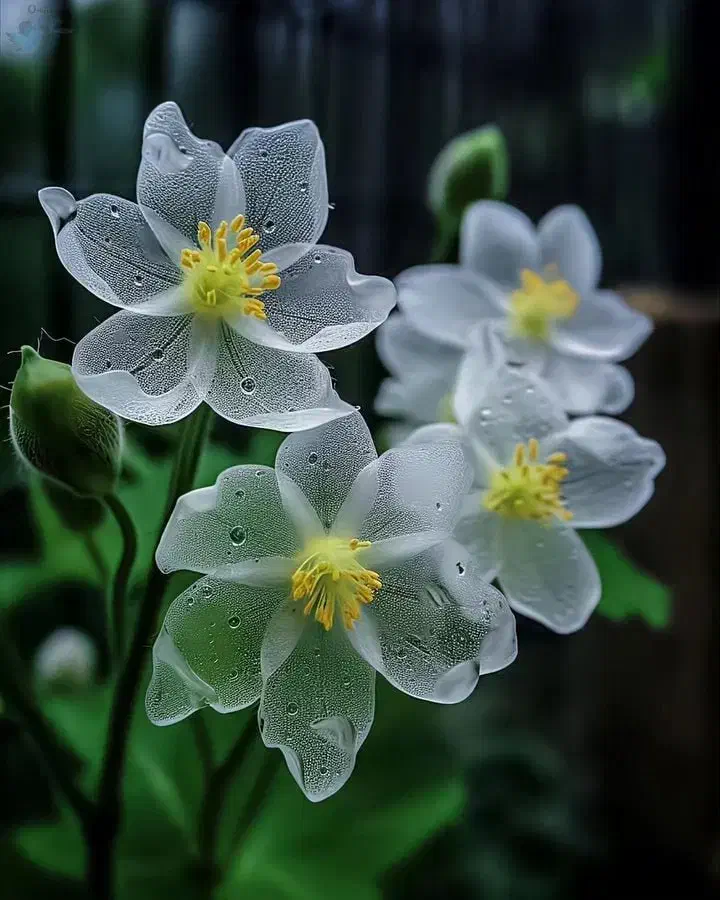 راهنمایی برای انتخاب رشته تحصیلی میخام|فعالیت داوطلبانه|ساوه, |دیوار
