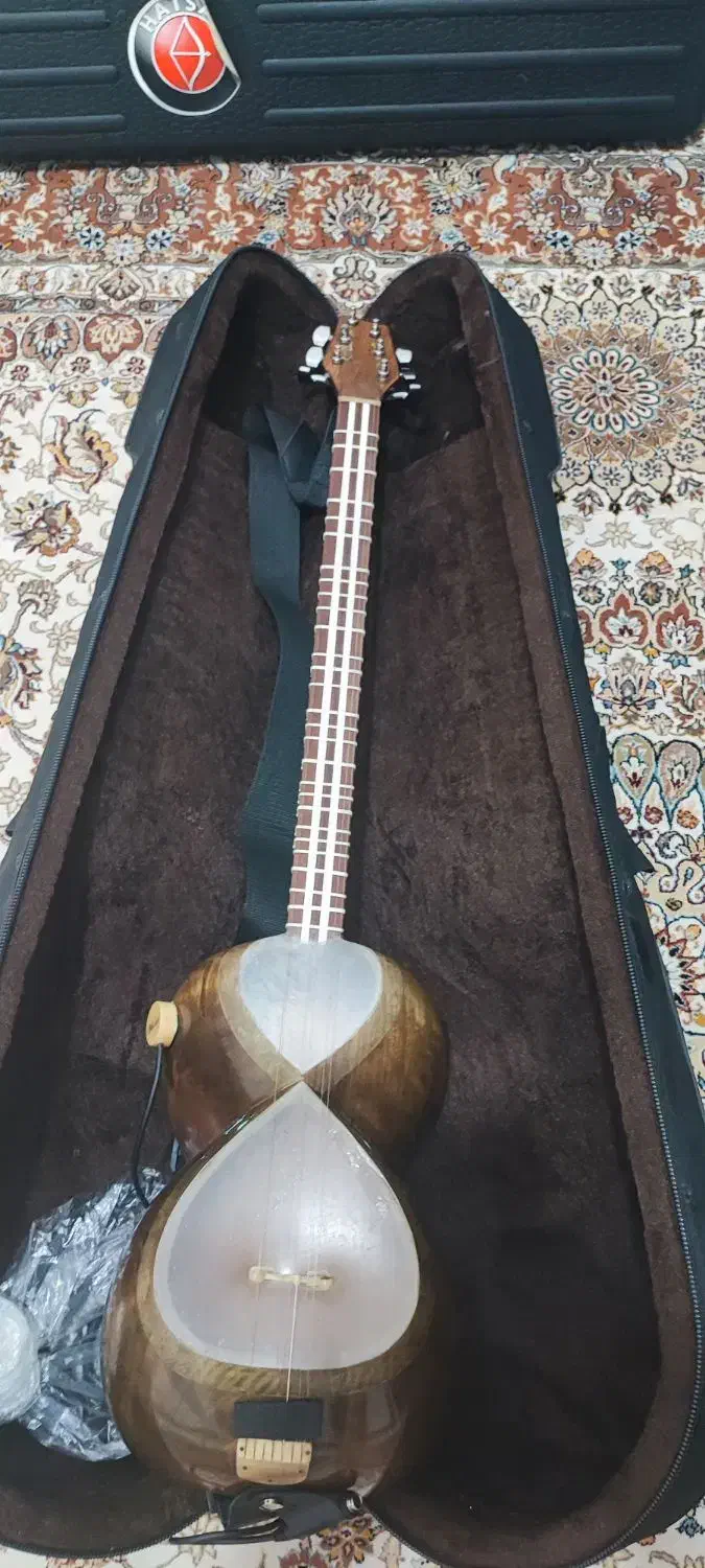 تار تخت هاشمیان سه مهر|سازهای سنتی|اصفهان, حسین‌آباد|دیوار