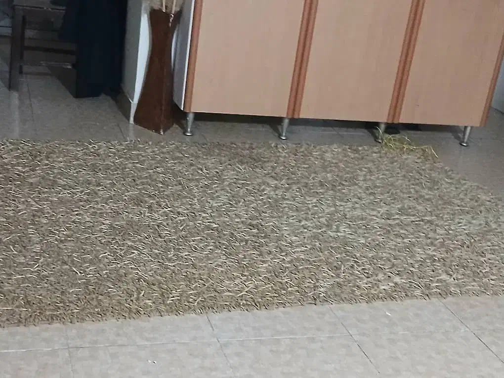 فرش تزئینی جلو تلویزیونی سالم پرز بلند ترک طلایی|موکت|رشت, لاکان شهر|دیوار