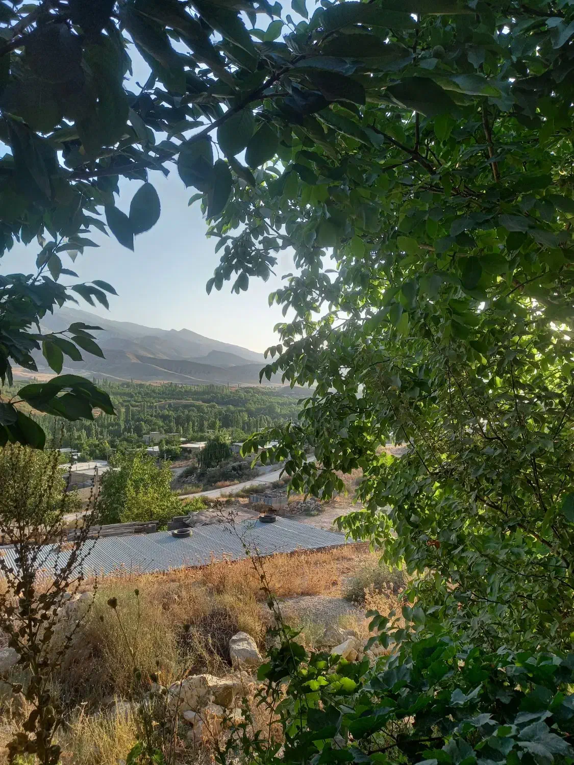 فروش خانه ولایی ۷۸۰ متری ۲ خوابه روستای درکش|فروش آپارتمان|آشخانه, |دیوار