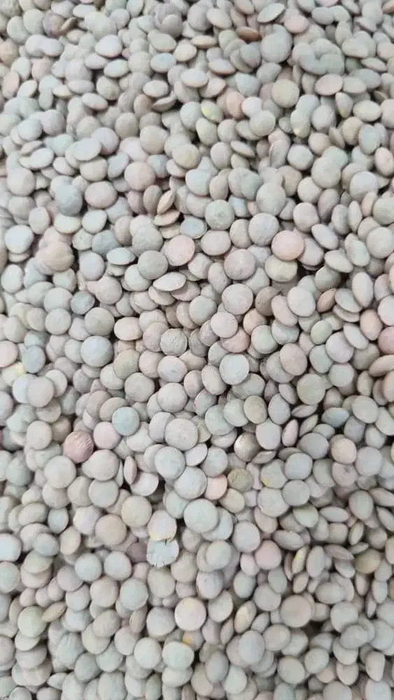 فروش حبوبات بدون آشغال|عمده‌فروشی|یاسوج, |دیوار