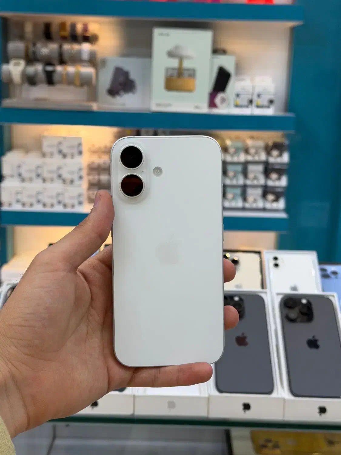 ایفون ۱۶ نرمال/ اقساطی|موبایل|یزد, |دیوار