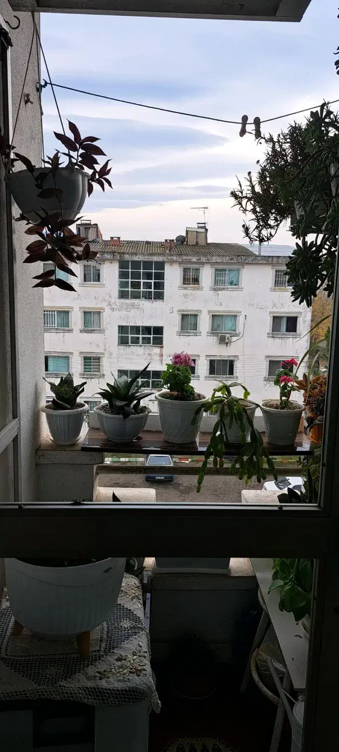 ۵۵متر آپارتمان نقلی یخ سازی|اجارهٔ آپارتمان|رشت, حافظ آباد|دیوار