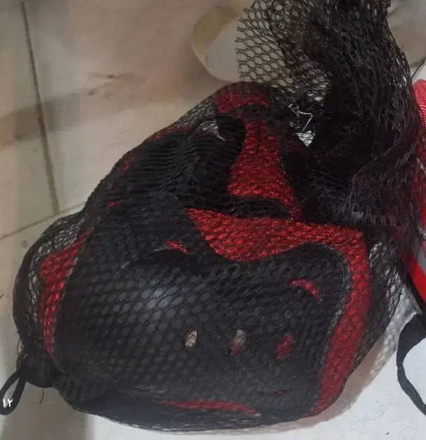 اسکیت|دوچرخه، اسکیت، اسکوتر|بندرعباس, |دیوار