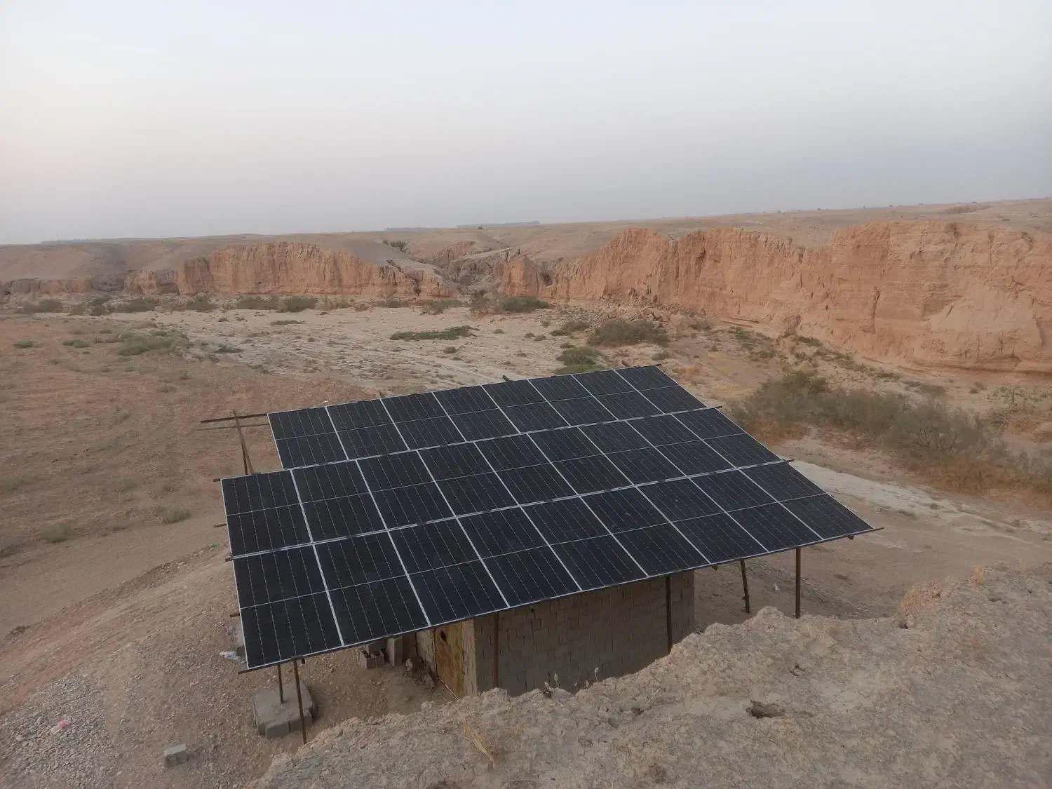 اجاره زمین کشاورزی  ۷ هکتار|اجارهٔ دفتر صنعتی، کشاورزی، تجاری|برازجان, |دیوار