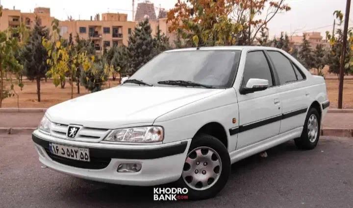 مسافر یزد|فعالیت داوطلبانه|دهدشت, |دیوار