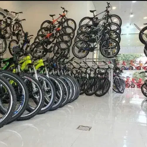 انواع دوچرخه بزرگ و کوچک میدان میوه تره بار|دوچرخه، اسکیت، اسکوتر|سیرجان, |دیوار