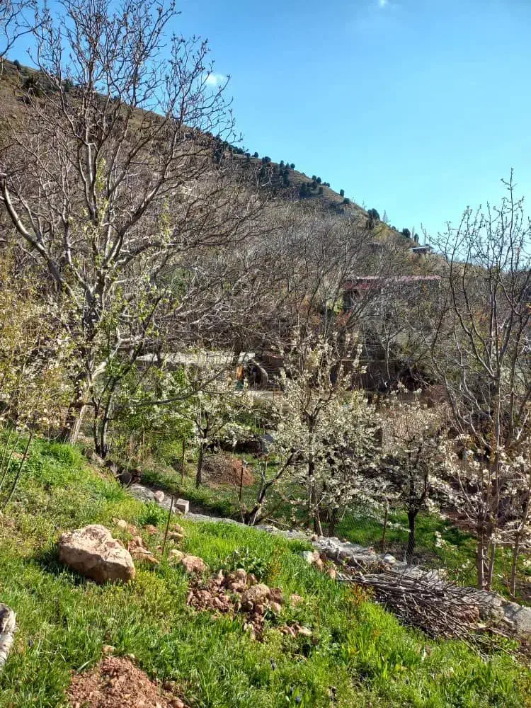 ۳۱۶ متر زمین|فروش زمین و ملک کلنگی|آبعلی, |دیوار