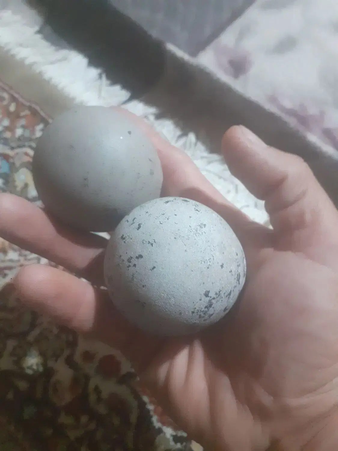 سنگ دو عدد|بدلیجات|رباطکریم, الارد|دیوار