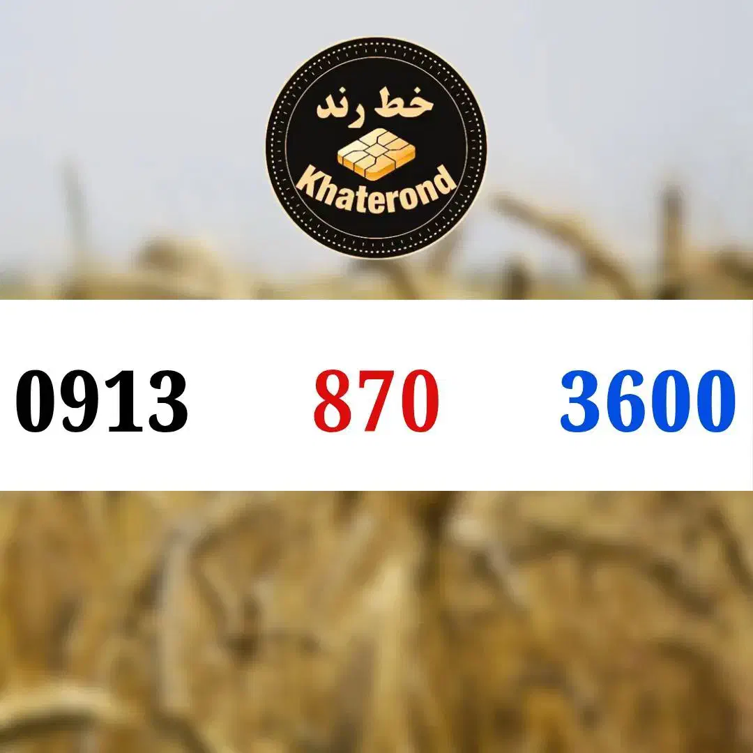 0913.8.34.3004|سیم‌کارت|اصفهان, خواجو|دیوار