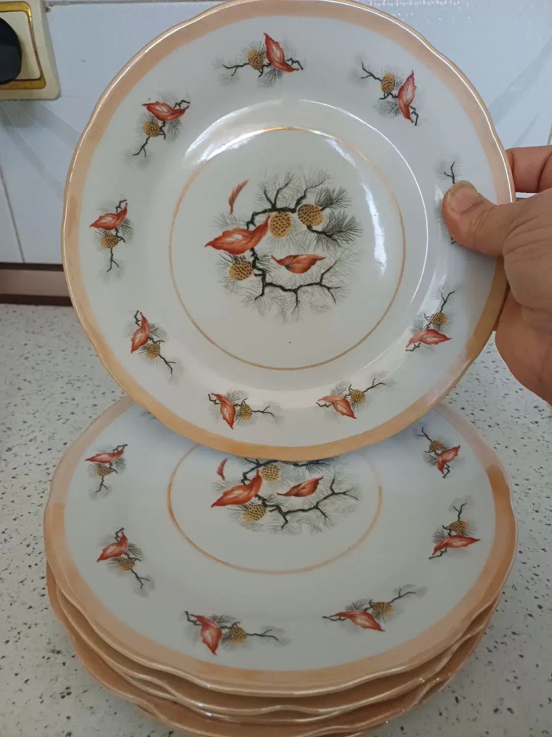 تمامی وسیله منزل فروشی درحدنو هستن|حراج|گرمسار, |دیوار