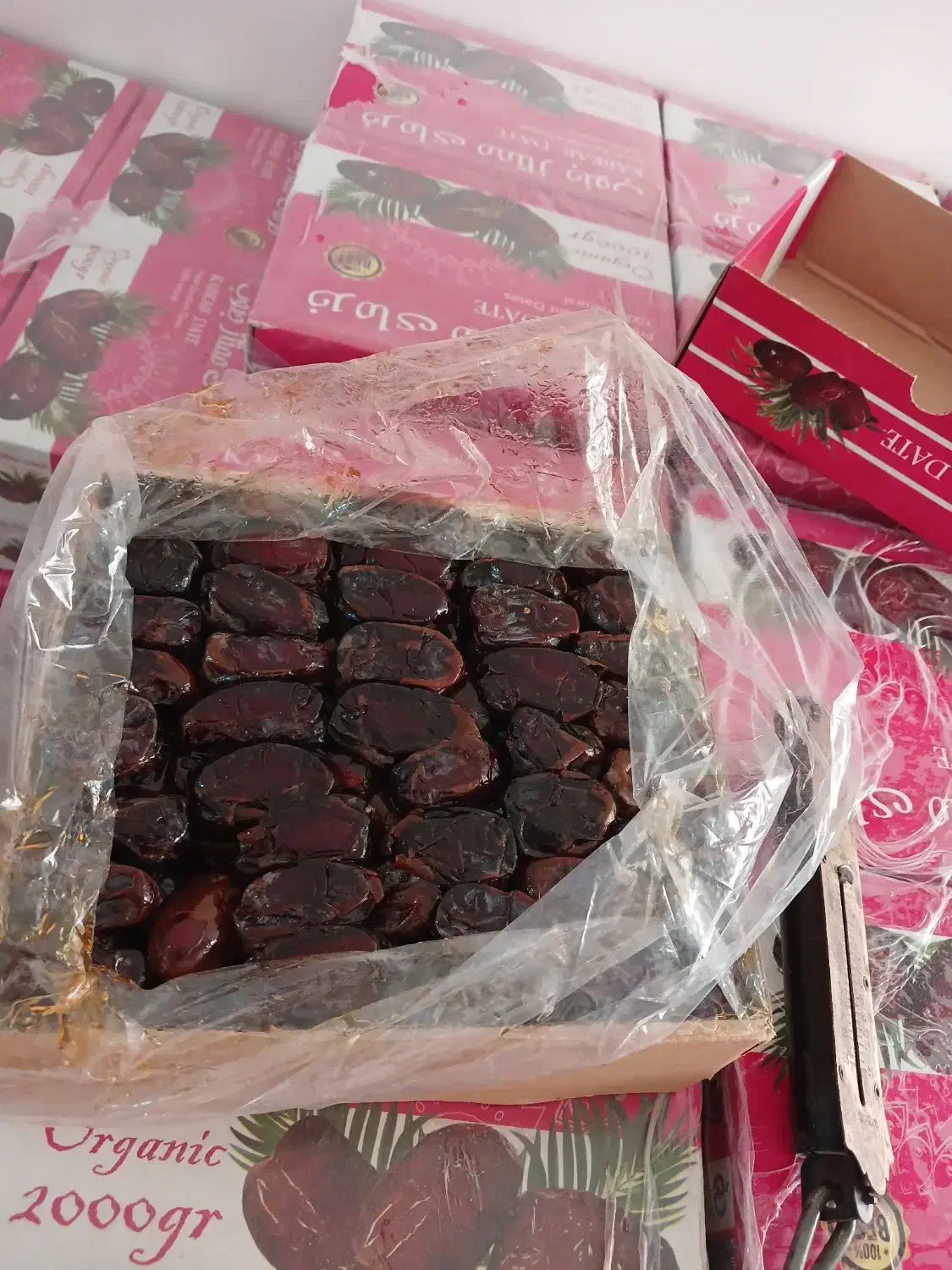 خرما تازه|حراج|بانه, |دیوار