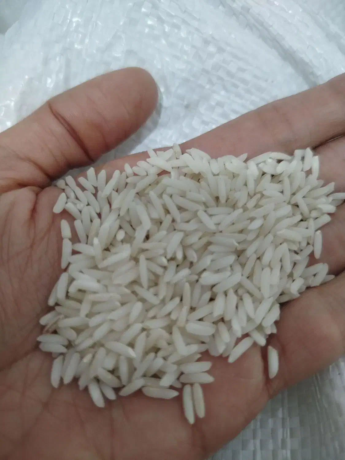 برنج هاشمی درجه1 و چای شمال|خوردنی و آشامیدنی|اشتهارد, |دیوار