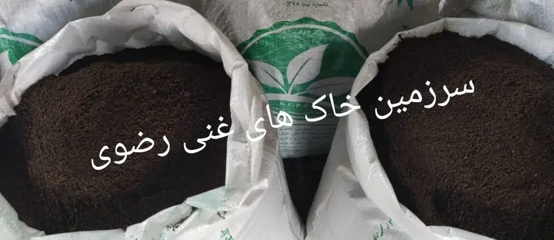 گل و گیاهان آپارتمانی سالم با تضمین رشد|گل و گیاه طبیعی|شیراز, پشم شیشه|دیوار