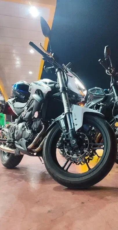 خاص ترین Qj srk250 فوری|موتورسیکلت|تهران, سلسبیل شمالی|دیوار