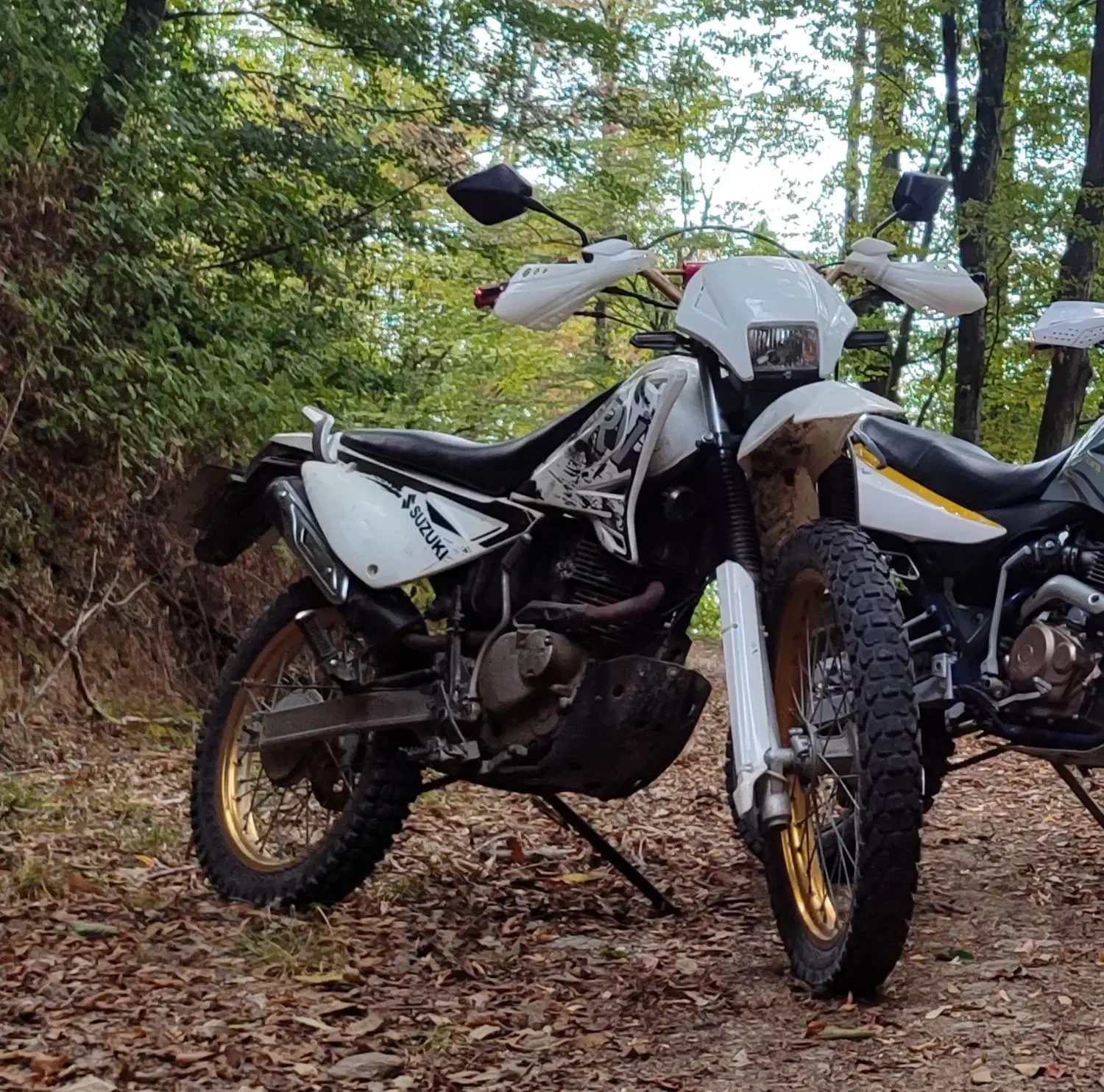 تریل روان|موتورسیکلت|گرگان, |دیوار