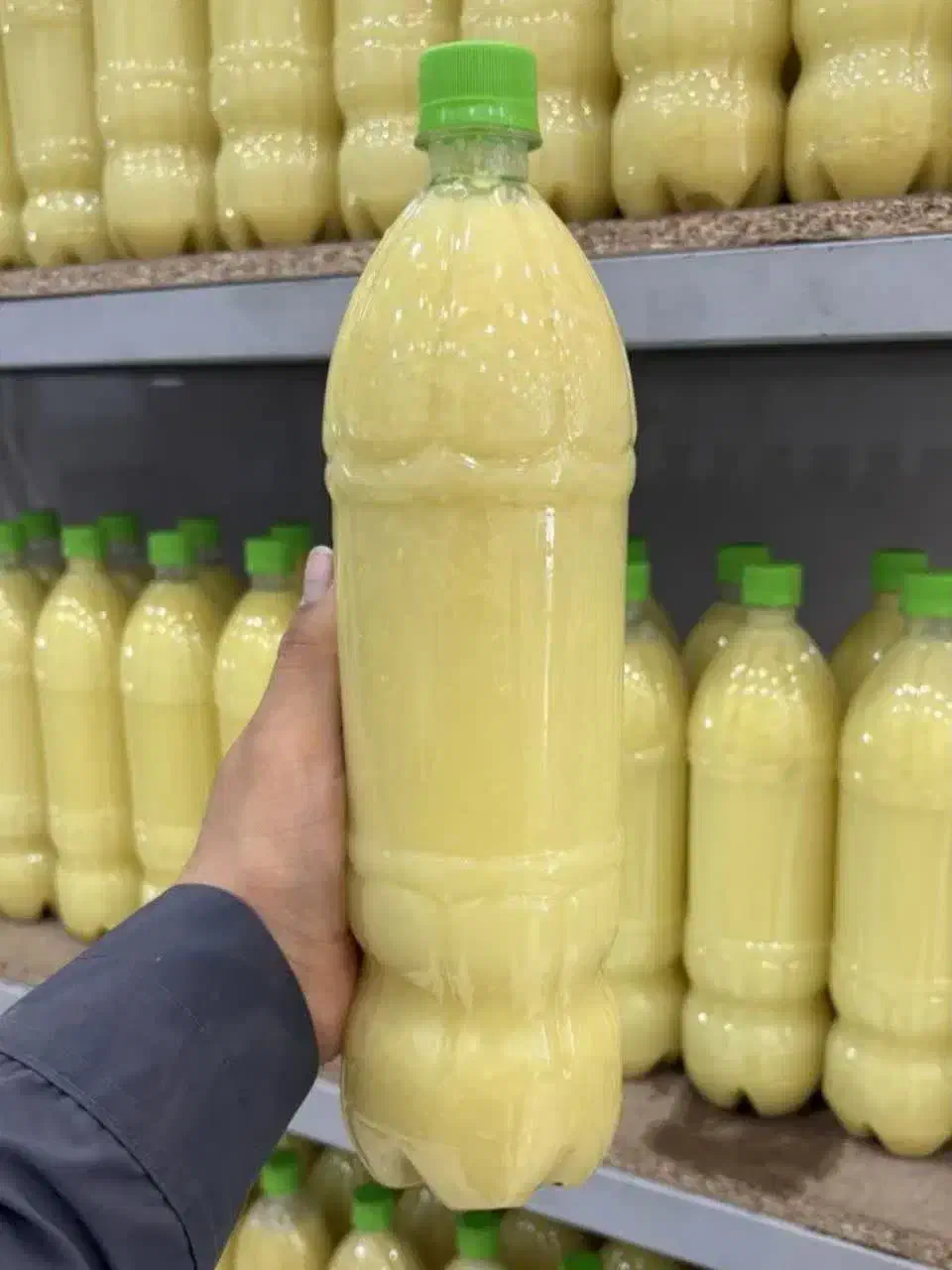 جشنواره ولادت|حراج|شاهینشهر, حاجی آباد|دیوار