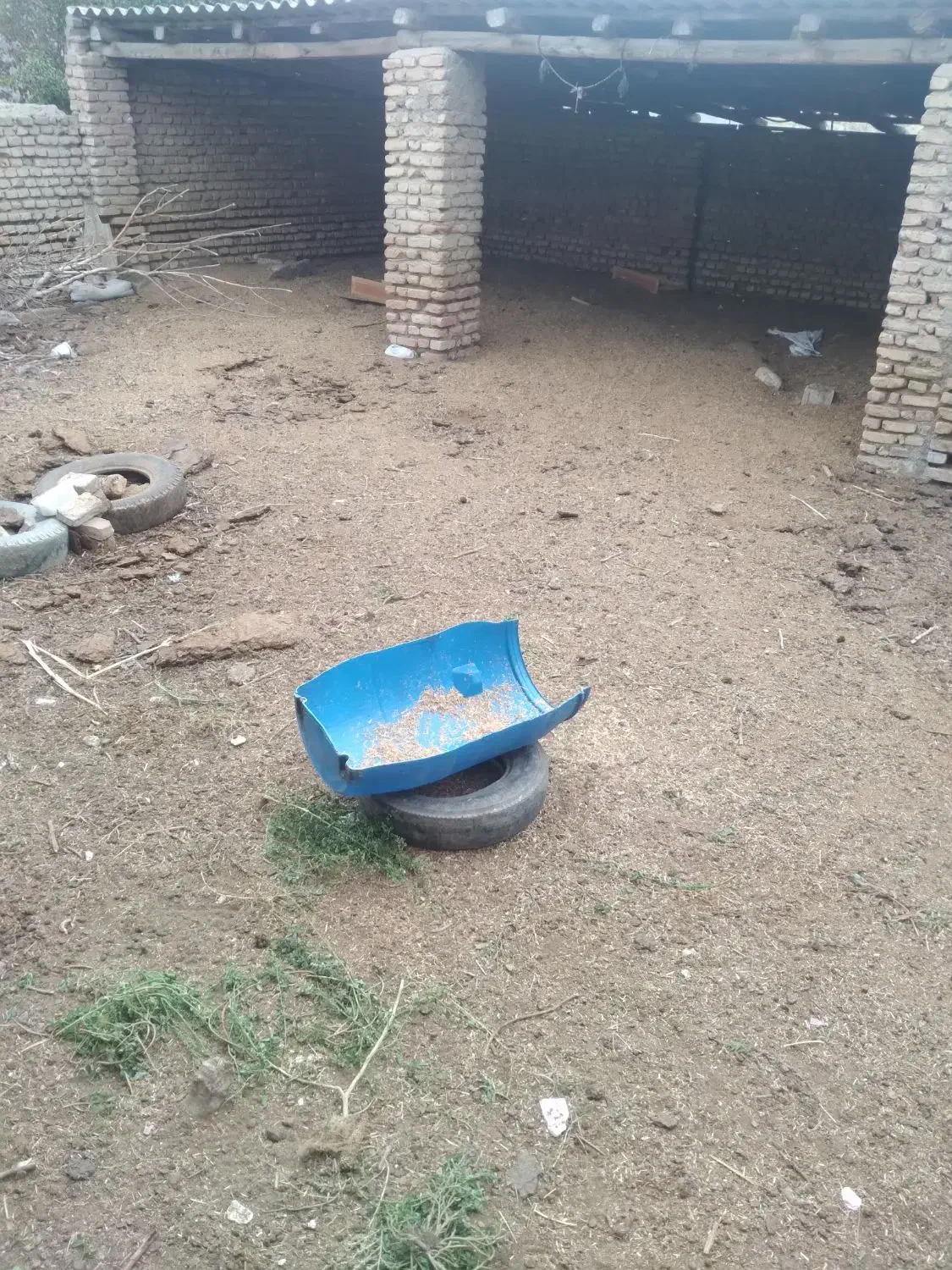 کود حیوانی|عمدهفروشی|بندر ترکمن, |دیوار