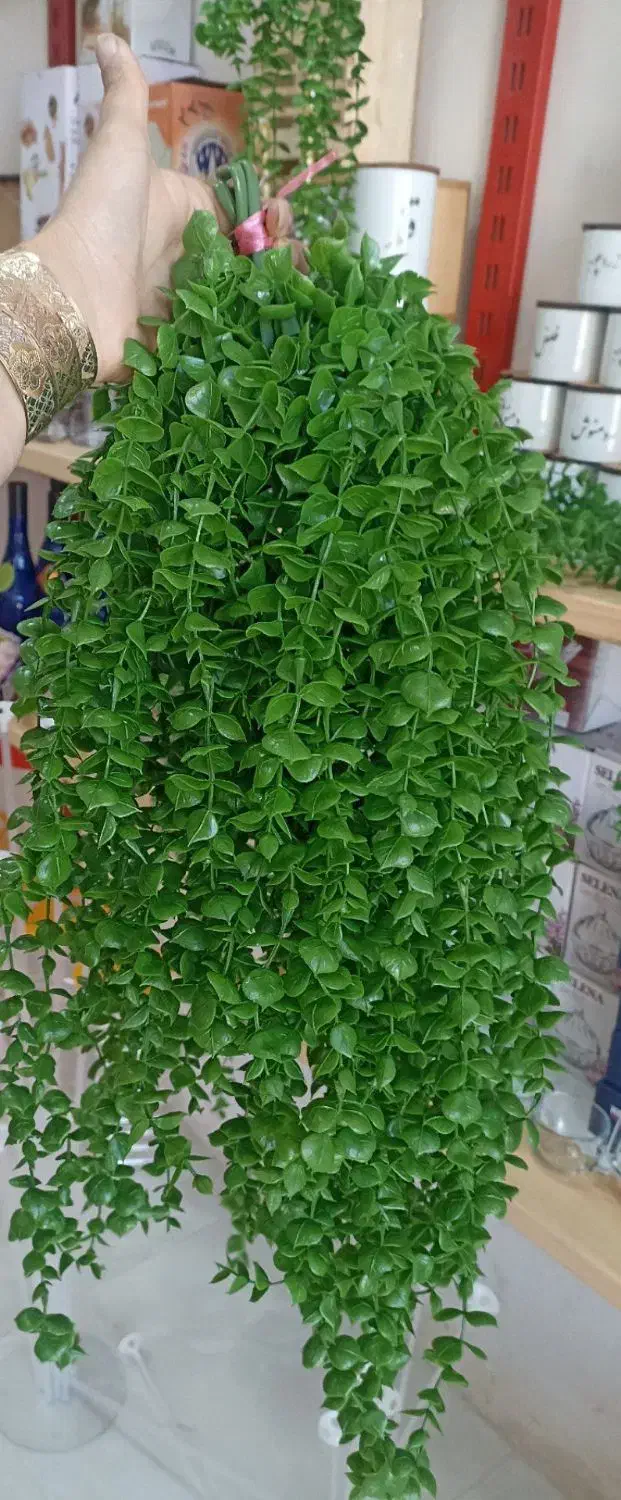 گل شمشاد|گل مصنوعی|نقده, |دیوار