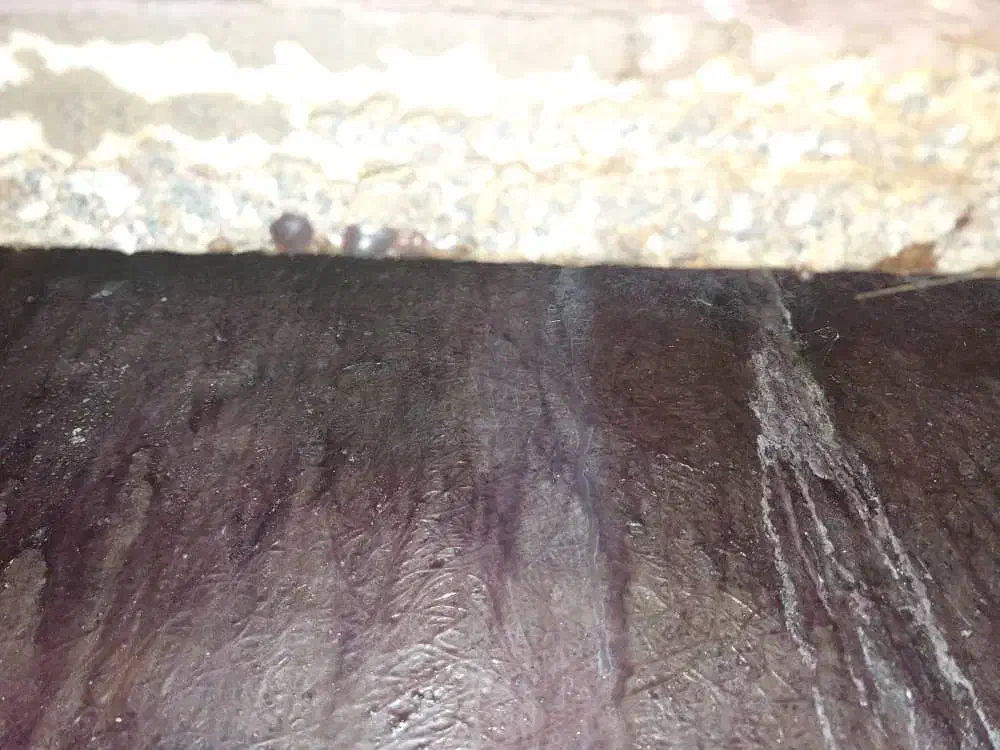 عایق نم ورطوبت|خدمات پیشه و مهارت|بندر انزلی, زنبق|دیوار