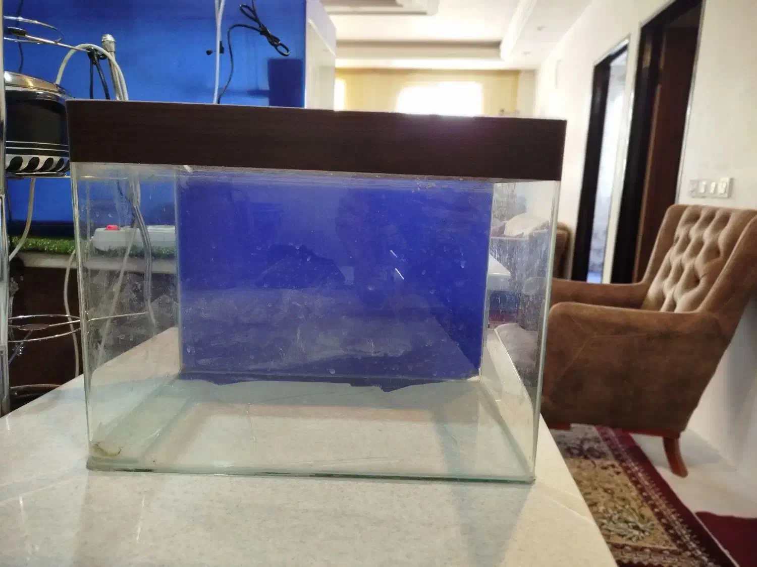 آکواریوم شرکتی ۵۰۰|ماهی|شیروان (خراسان), |دیوار