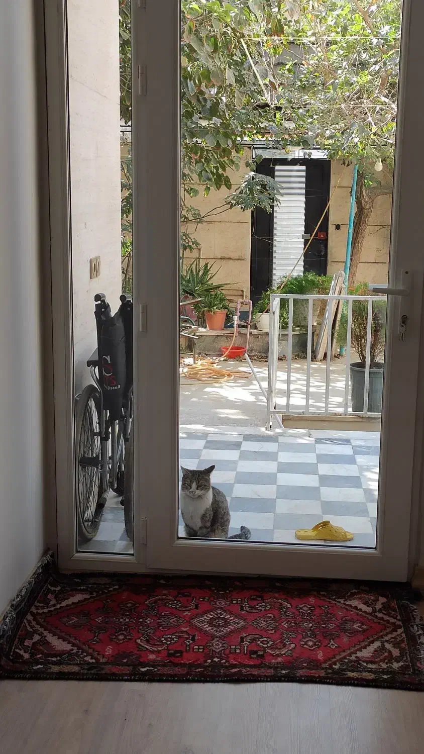 اجاره زیرزمین نورگیر|اجارهٔ خانه و ویلا|قم, باجک یک|دیوار