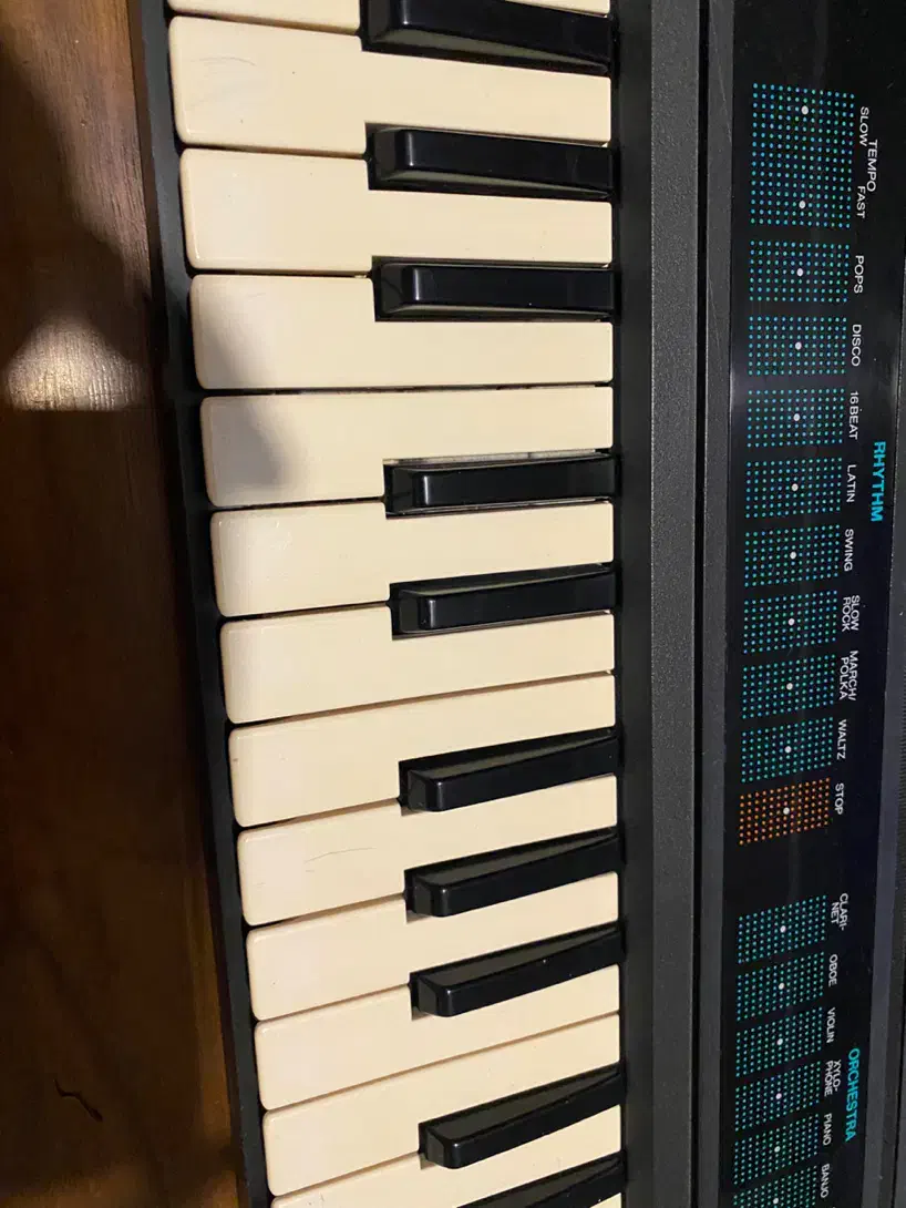 ارگ های یاماها و کاسیو کلکسیونی کمیاب مشابه آکبند|پیانو، کیبورد، آکاردئون|تهران, سازمان برنامه جنوبی|دیوار