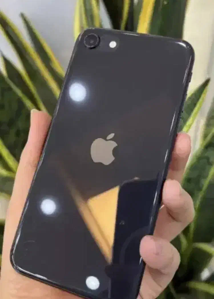 اپل Se2020 128gig|موبایل|گرگان, |دیوار