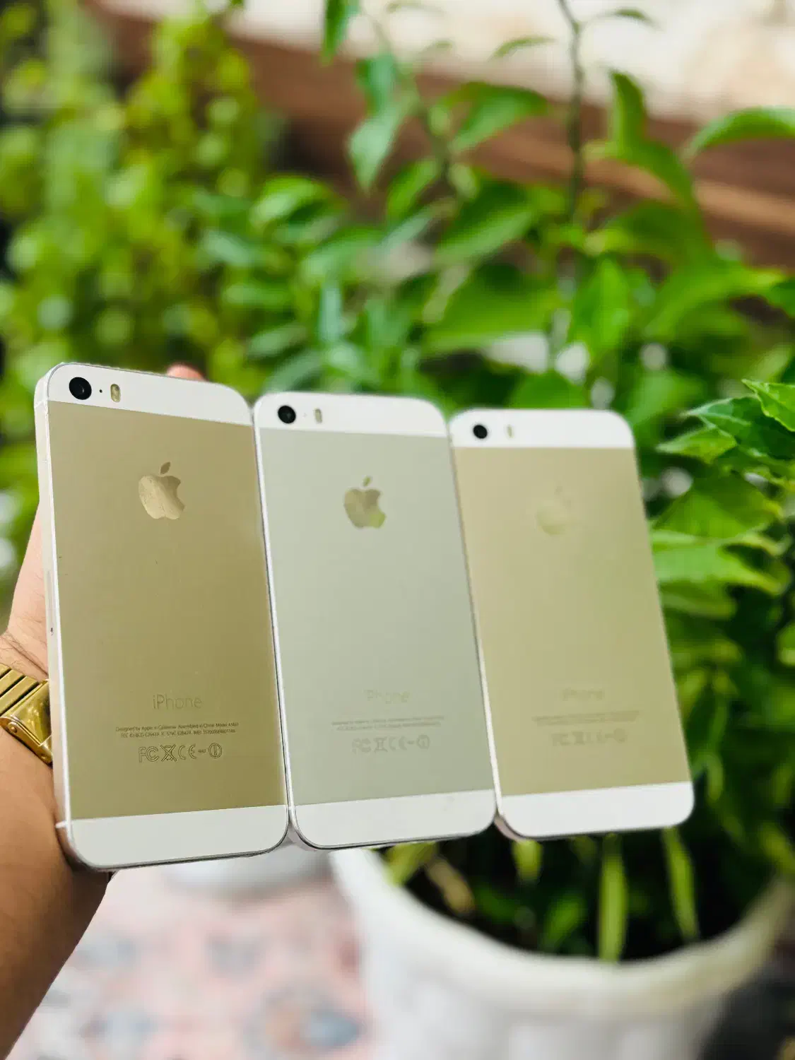 ایفون ۵s|موبایل|بانه, |دیوار