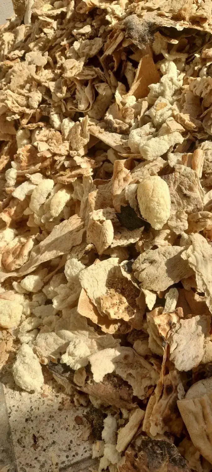 نون خشک فرداعلاتمیز|لوازم جانبی حیوانات|رضویه, |دیوار