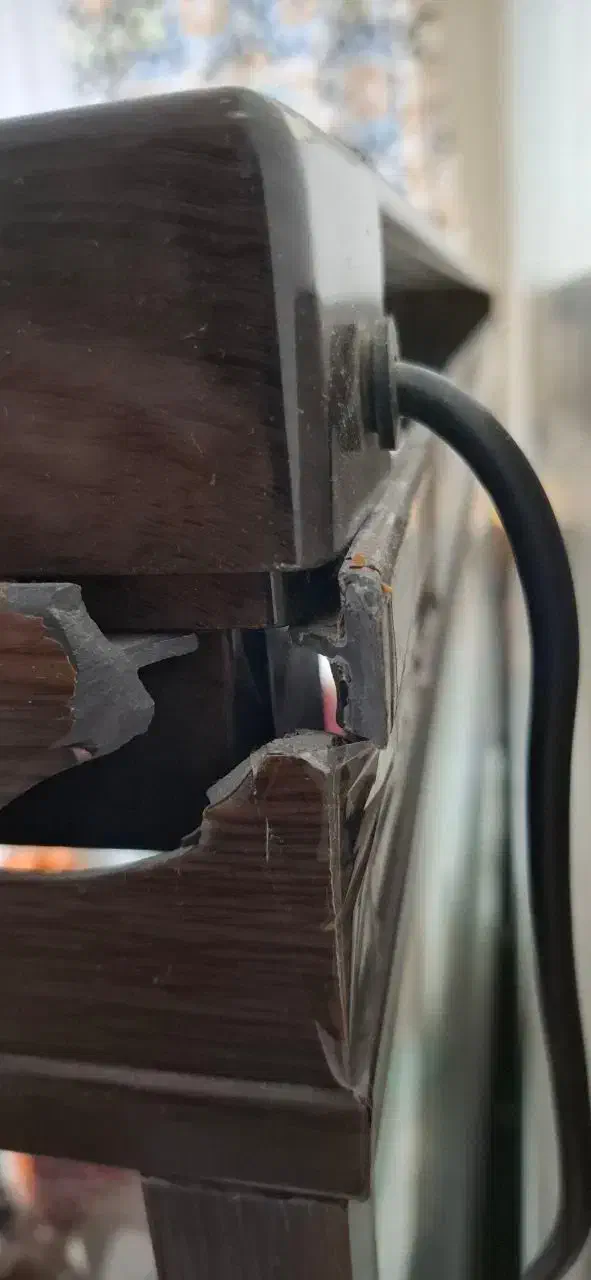 آکواریوم شیشه خم|ماهی|تهران, گیشا|دیوار