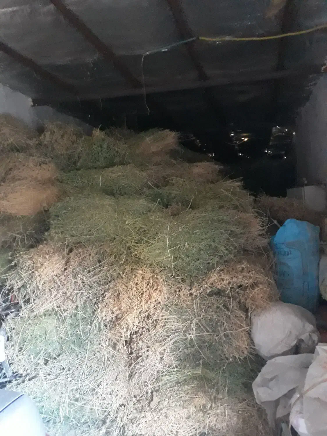 بیده|لوازم جانبی حیوانات|اسفراین, |دیوار