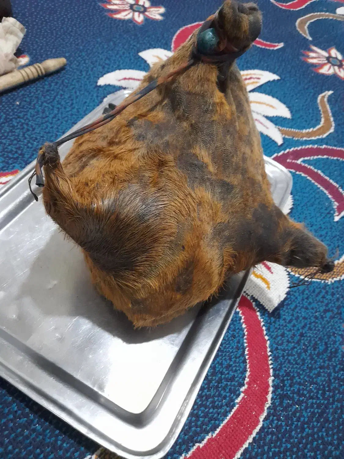 هیزه|ظروف نگهدارنده، پلاستیکی، یک‌بارمصرف|دورود, |دیوار