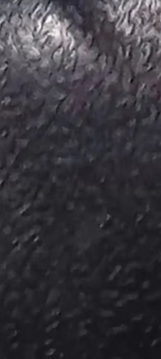 کره محلی|خوردنی و آشامیدنی|ویلکیج, |دیوار