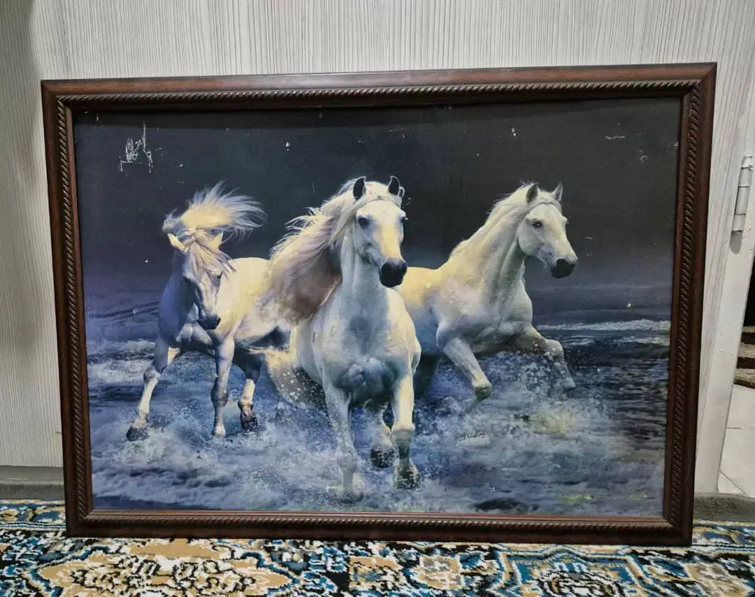 تابلو فوری فروشی|تابلو، نقاشی، عکس|تهران, هفده شهریور|دیوار