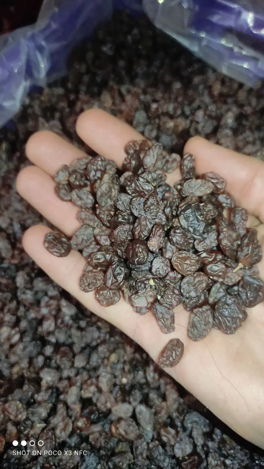 کشمش پاک شده اعلا|خوردنی و آشامیدنی|عجب شیر, |دیوار