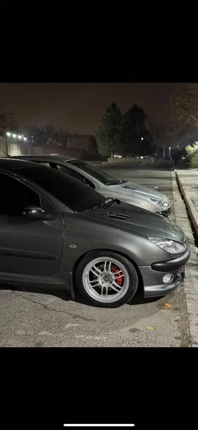 لوازم ۲۰۶/۲۰۷ ارسی|قطعات یدکی و لوازم جانبی|تهران, اختیاریه|دیوار