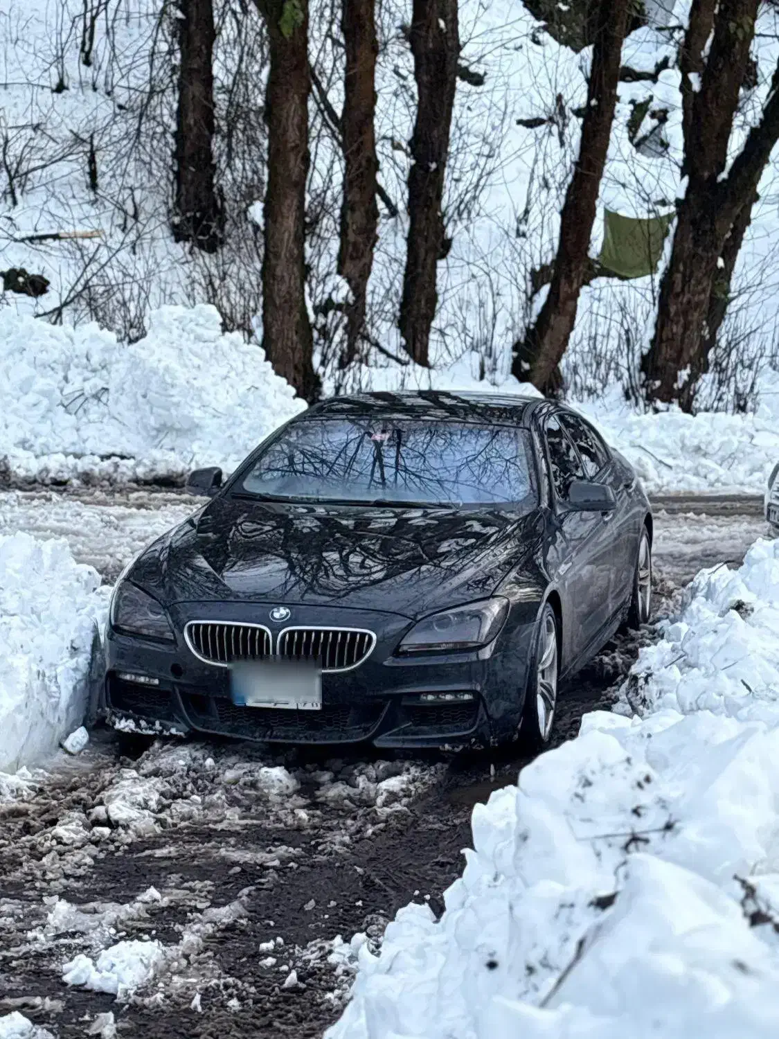 BMW 640|خودرو سواری و وانت|رشت, دیلمان|دیوار