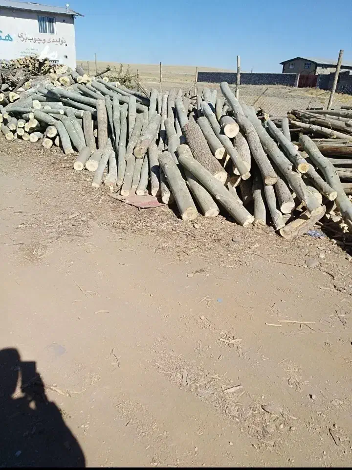 خریدارچوب انواع درختان|خدمات باغبانی و درختکاری|تویسرکان, |دیوار