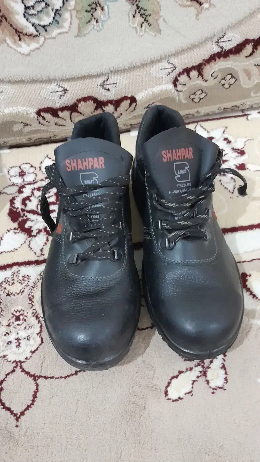 کفش کار|کیف، کفش، کمربند|قم, نوقطار|دیوار