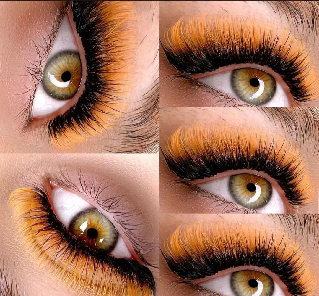 50درصد تخفیف بلک فرایدی برای کاشت مژه ولیفت ابرو|خدمات آرایشگری و زیبایی|تهران, هفت حوض|دیوار