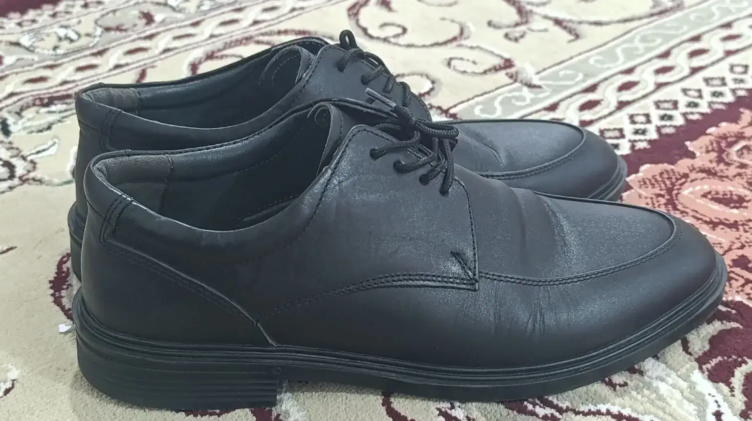 کفش چرم|کیف، کفش، کمربند|سردرود, |دیوار