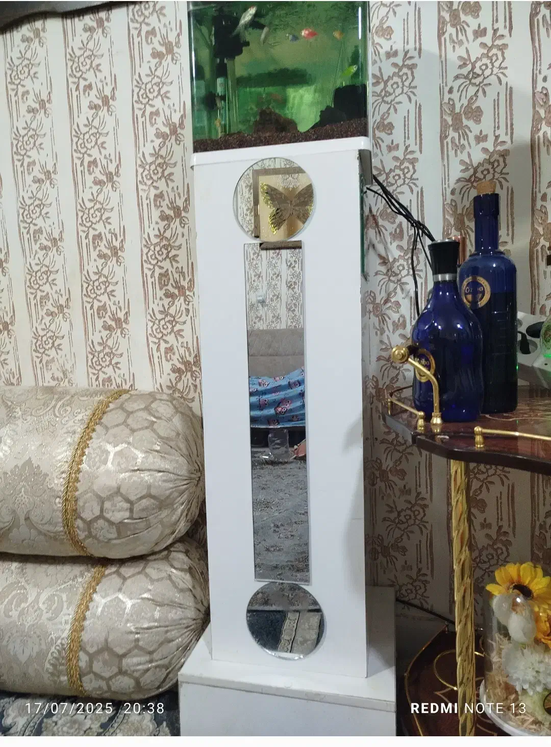 آکواریوم|ماهی|زاهدان, |دیوار