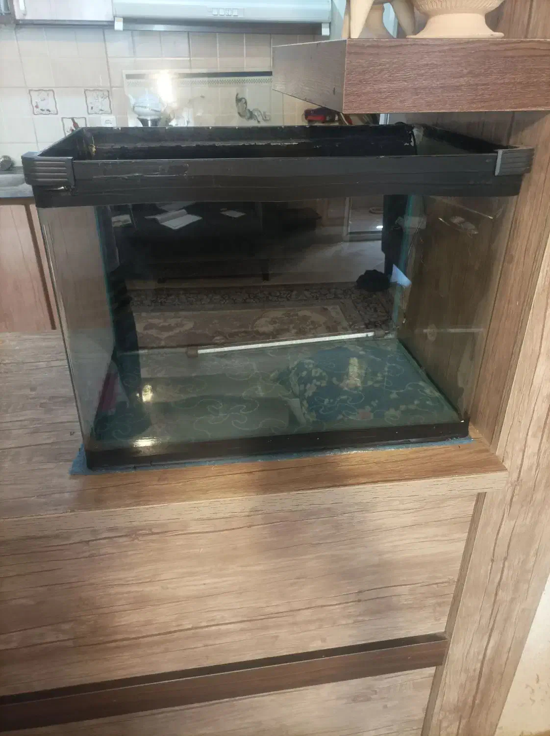 آکواریوم شرکتی|ماهی|مشهد, شاهد (شهرک غرب)|دیوار