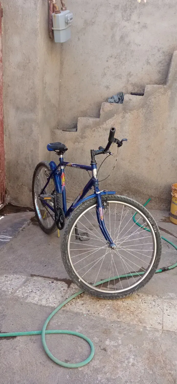 دوچرخه سند دار آساک دماوند|دوچرخه، اسکیت، اسکوتر|تربت جام, جامی|دیوار